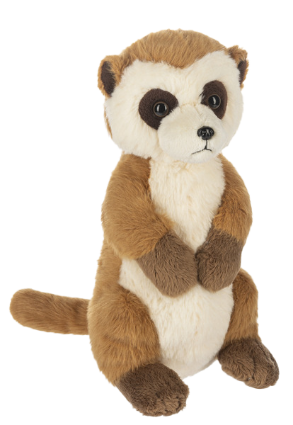 Webkinz Next | Meerkat - 1