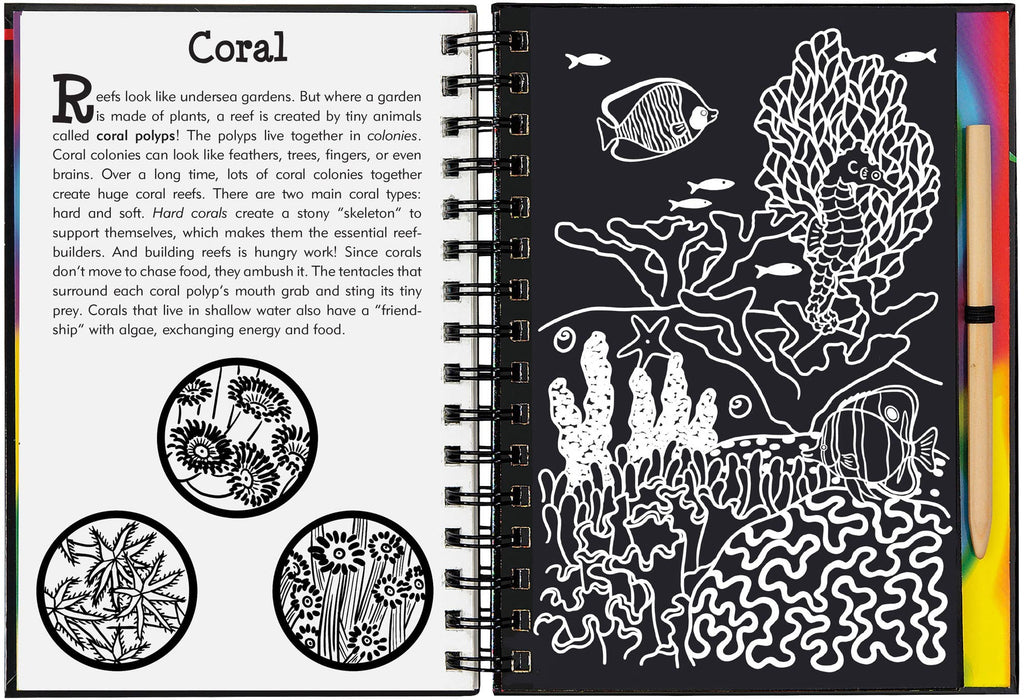 coral reefs scratch and sketch
