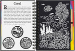 coral reefs scratch and sketch