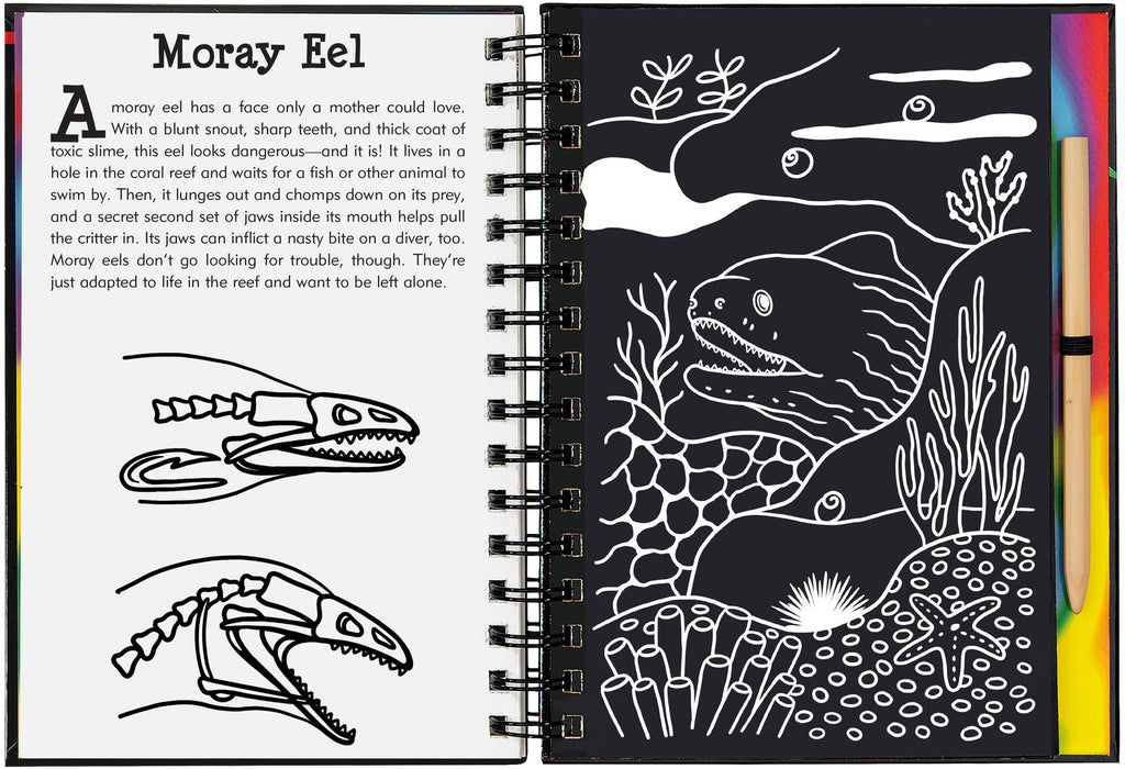 coral reefs scratch and sketch
