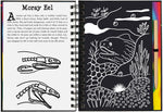 coral reefs scratch and sketch