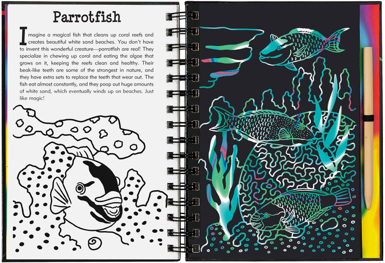 coral reefs scratch and sketch
