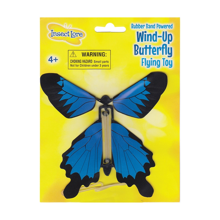 Wind-Up Butterfly Blue Morpho