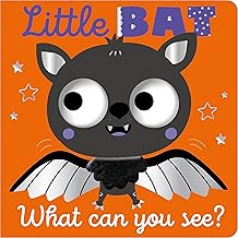 Little Bat What Can You See Board Book 1+