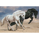 Diamond Dotz Horse Play