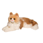 Kiki Ragdoll Cat 284