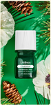 Lifelines ClickWick | Fir Needle & Pine - 1