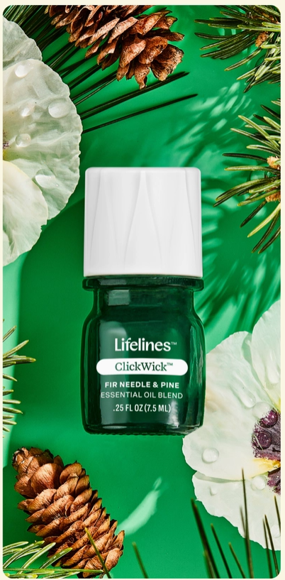 Lifelines ClickWick | Fir Needle & Pine - 1