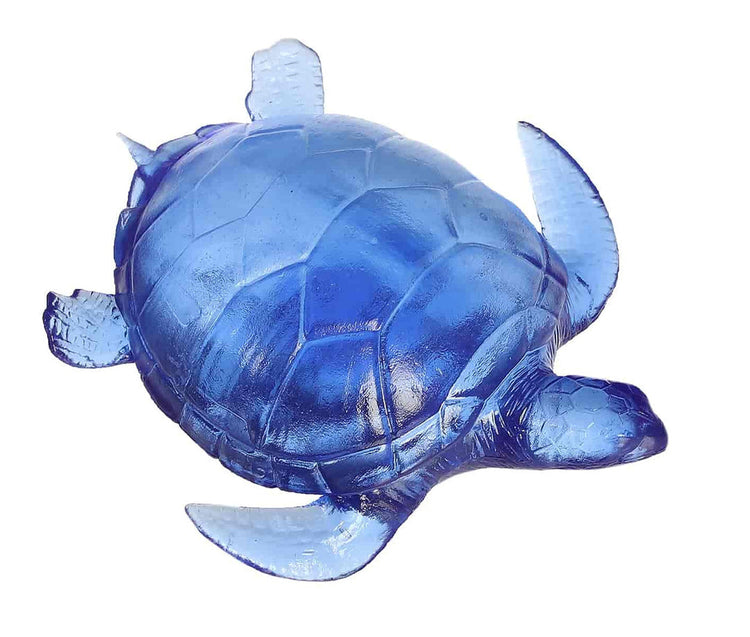 Sugar Squeezy | Sea Turtle - CR Toys
