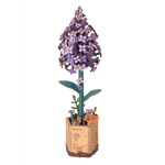 Hands Craft | Lilac 14+