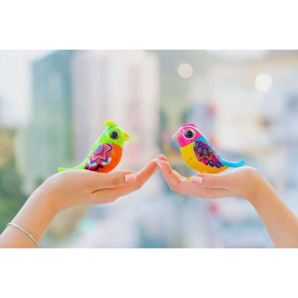 Digibirds | Single Pack - CR Toys