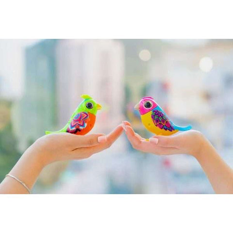 Digibirds | Single Pack - CR Toys