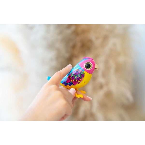 Digibirds | Single Pack - CR Toys