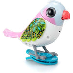 Digibirds | Single Pack - CR Toys