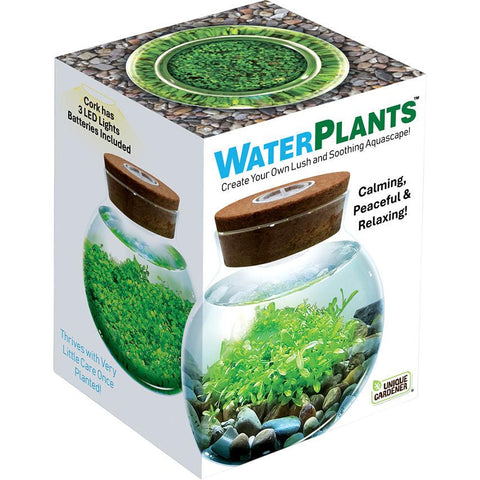 WaterPlants - Create Your Own Aquascape