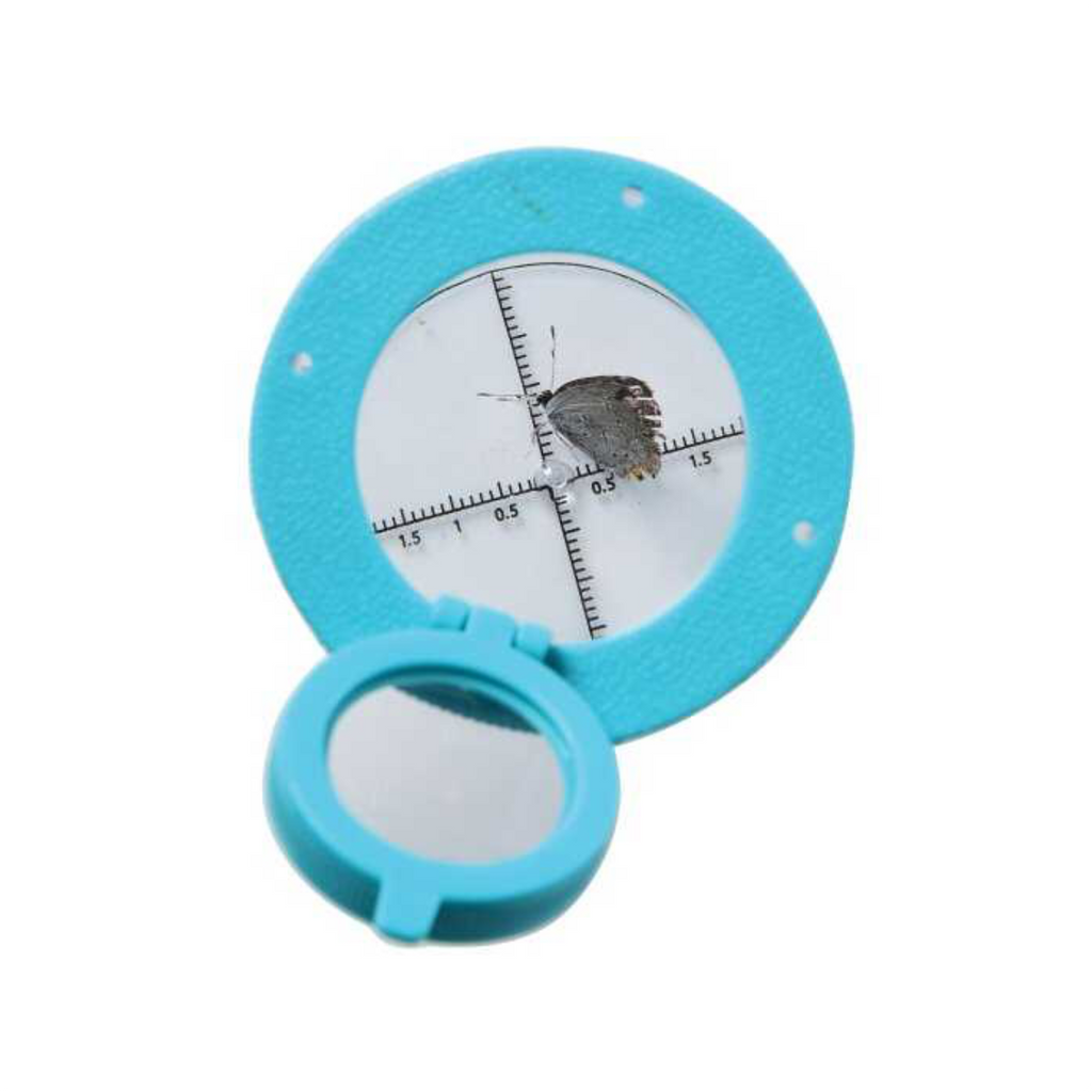 Bug Viewer - CR Toys