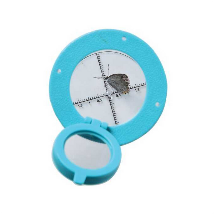 Bug Viewer - CR Toys