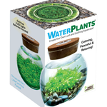 WaterPlants - Create Your Own Aquascape