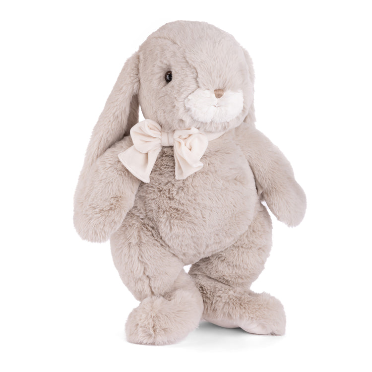 Bunny | The Great Silver Sprinkle - 1