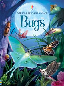 Bugs Usborne Book 6+ - CR Toys