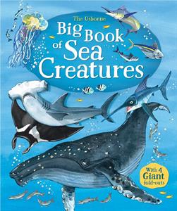Big Book of Sea Creatures 4+ - CR Toys