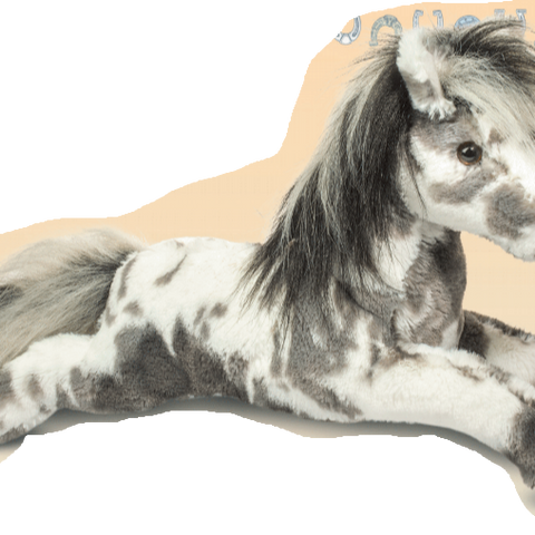 Starsky Appaloosa Horse 2073