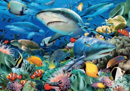 Shark Reef 100 Pc Puzzle - CR Toys