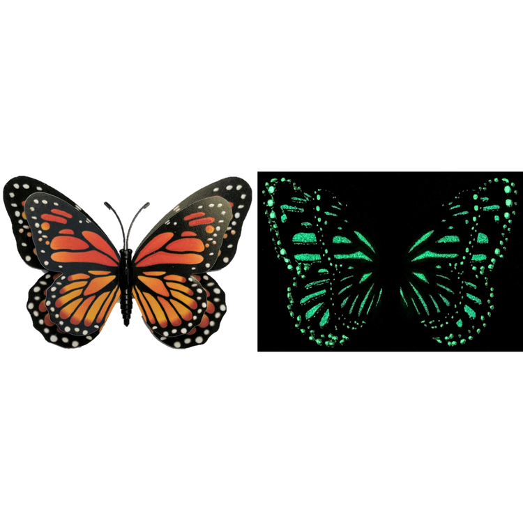 Glow In The Dark Magnetic Butterfly - CR Toys