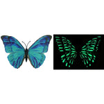 Glow In The Dark Magnetic Butterfly - CR Toys