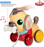 My 1st Interactive Puppy - Brown Dog