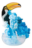 Amazing Grow Tropical Birds
