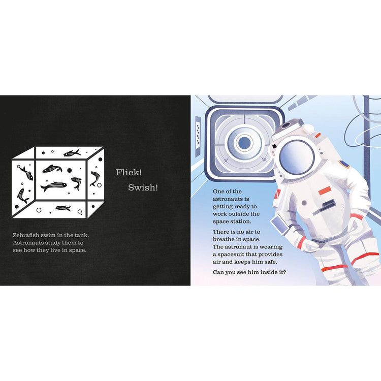 Shine-A-Light, On The Space Station