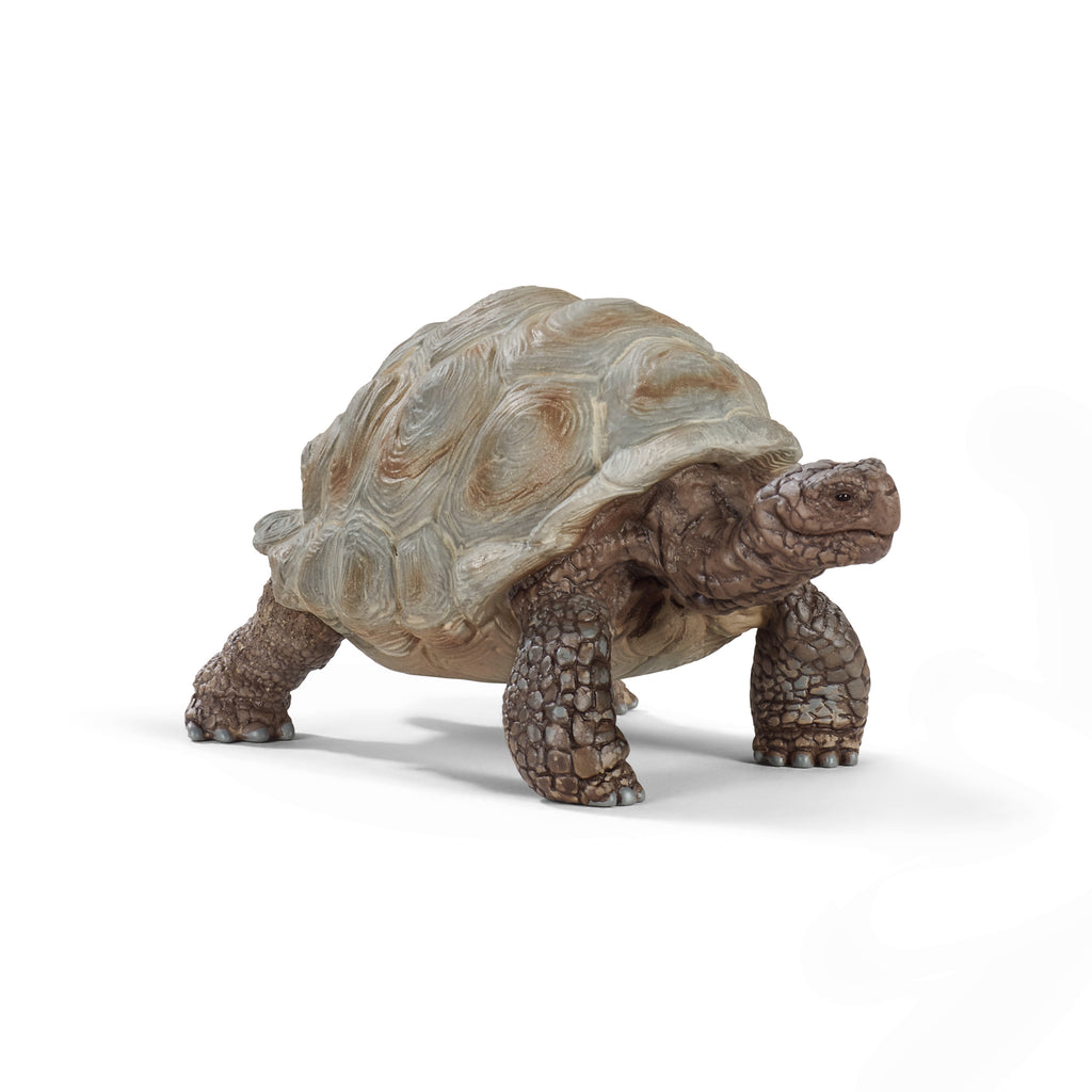 Giant Tortoise Figurine 14824