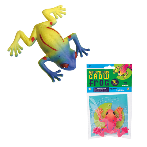 Ginormous Grow Frog - Ages 5+ - CR Toys