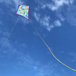 Dinosaur Camouflage Kite 30" 3267 - CR Toys