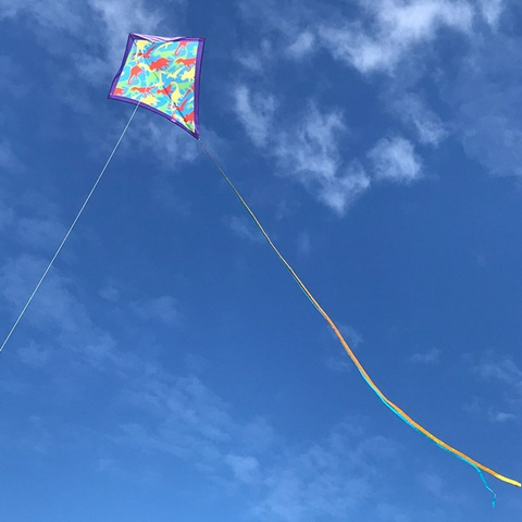 Dinosaur Camouflage Kite 30