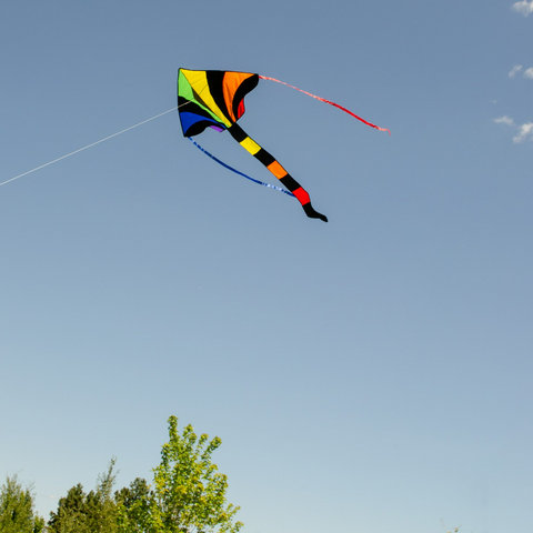 Rainbow Sparkler Fly-Hi Kite 2903 - CR Toys