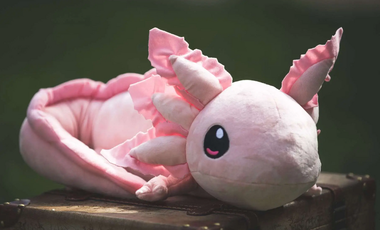 Weighted Axolotl 2024 Plushie