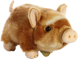 Pot-Bellied Piglet Two Color 26356