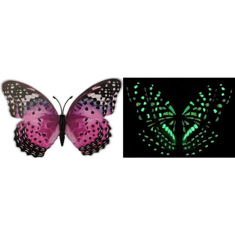 Glow In The Dark Magnetic Butterfly - CR Toys