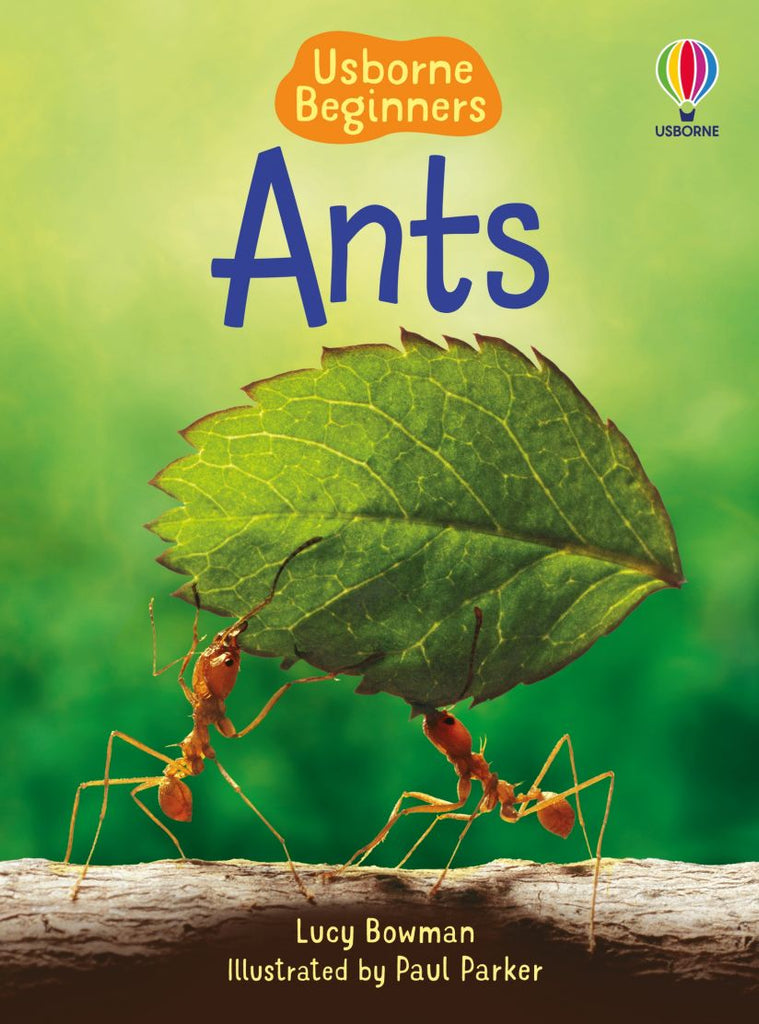 Ants Hard Cover Paper Book
