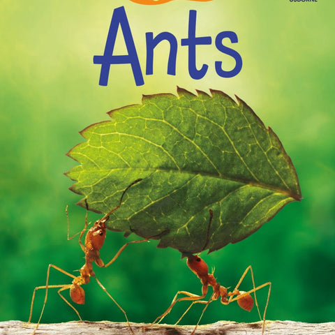 Ants Hard Cover Paper Book