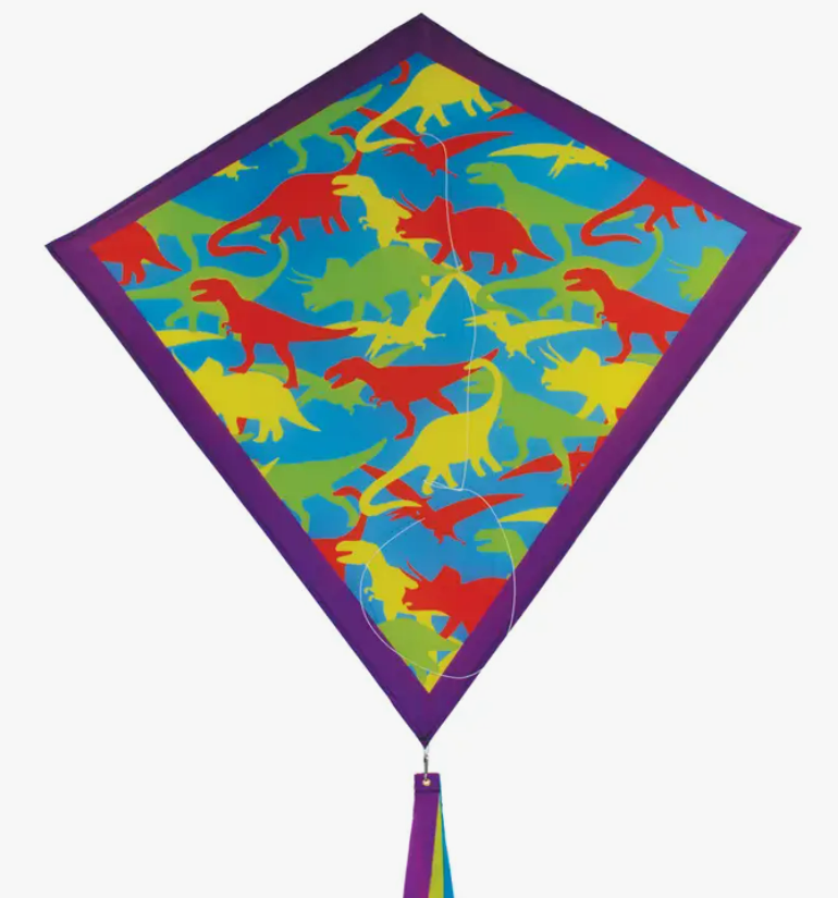 Dinosaur Camouflage Kite 30" 3267 - CR Toys