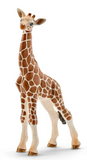 Giraffe Calf 14751