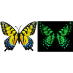 Glow In The Dark Magnetic Butterfly - CR Toys