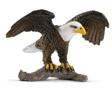 Bald eagle 14780
