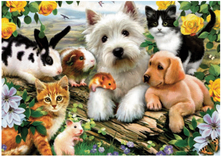 Happy Animal Buddies 300Pc Puzzle - CR Toys