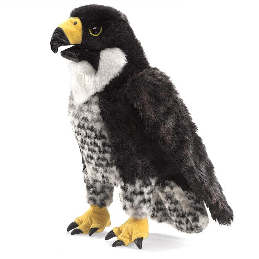 Peregrine Falcon 3055