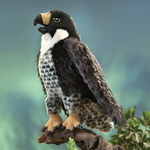 Peregrine Falcon 3055
