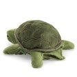 BABY TURTLE - CR Toys